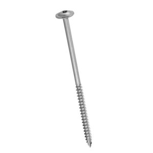 Vis bois inox tête plate bombée pointe anti-fendage